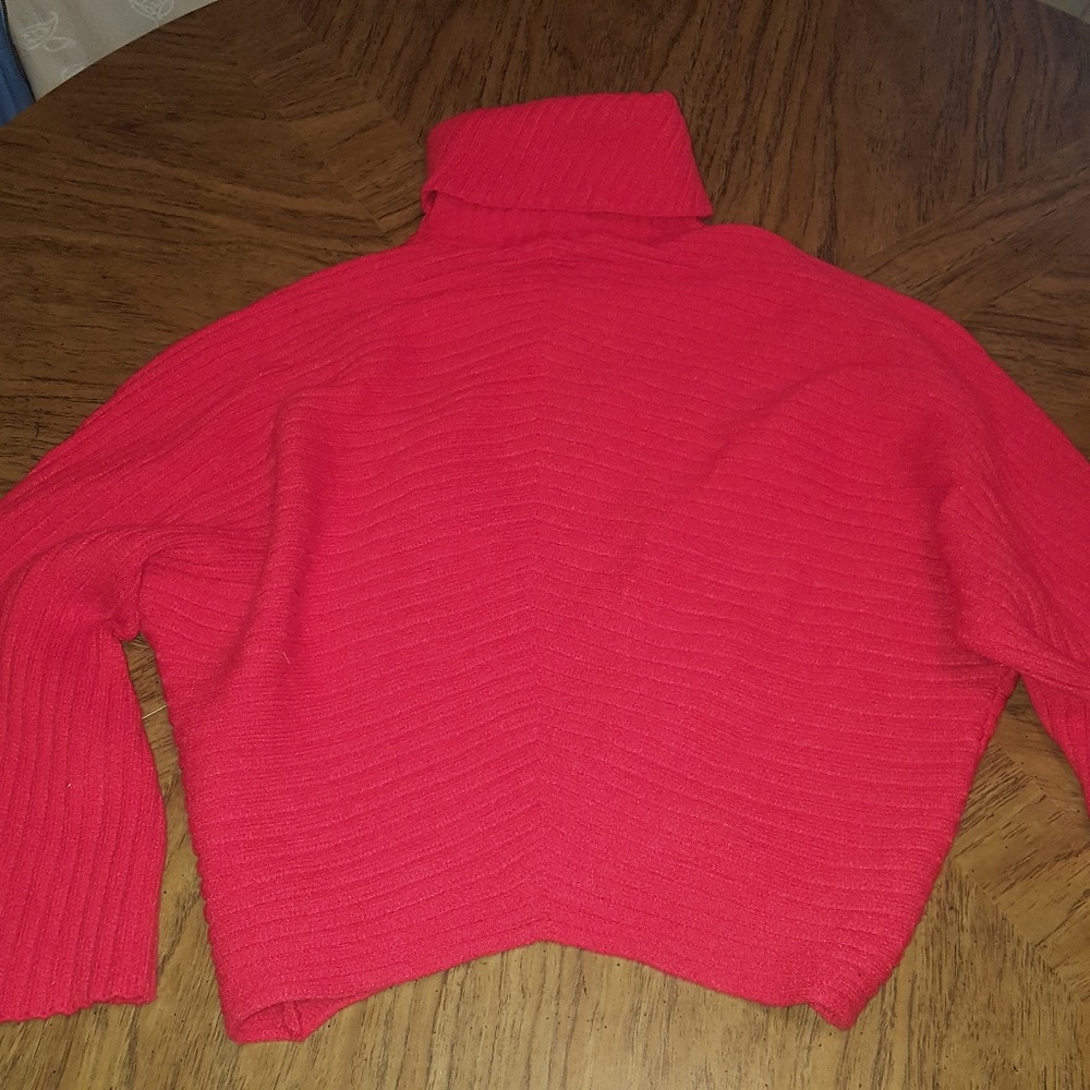 Moth from Anthropologie sweater